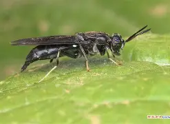 kaiyun-关于?崻挔m韻棪繶髑??3?-虻黲S1I国的信息