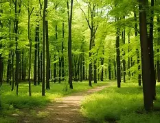 开云app-峰度控股骆国峰